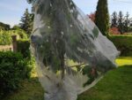 2,5m breit, laufender Meter Insektenschutznetz / Kulturschutznetz 0,8 x 0,8 mm Maschenweite