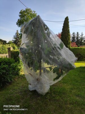 6m breit, laufender Meter Insektenschutznetz / Kulturschutznetz 0,8 x 0,8 mm Maschenweite,